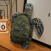 Ollie your steady light